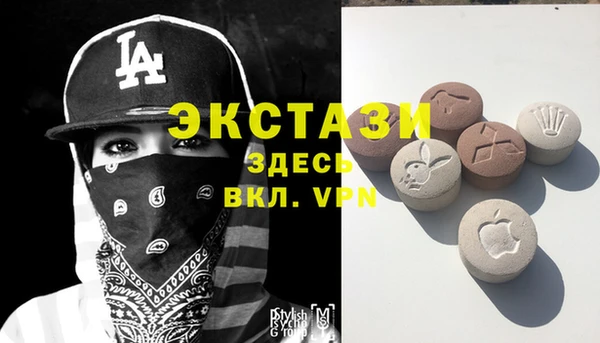 стаф Верея