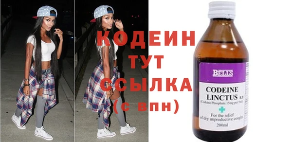 стаф Верея