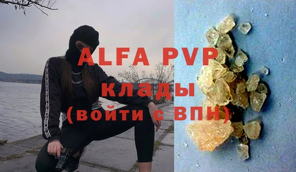 стаф Верея