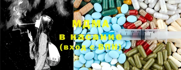 стаф Верея