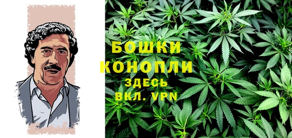 стаф Верея