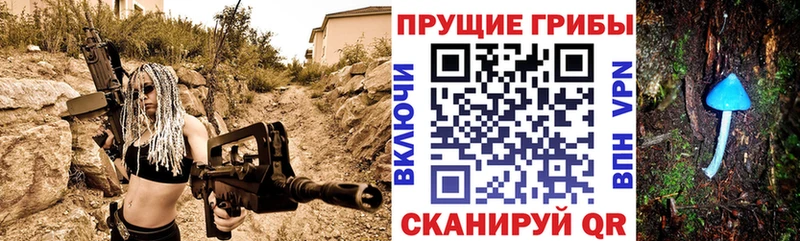Псилоцибиновые грибы Cubensis  Камбарка 